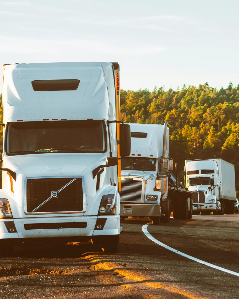 Transport organizowany przez Agram Logistics